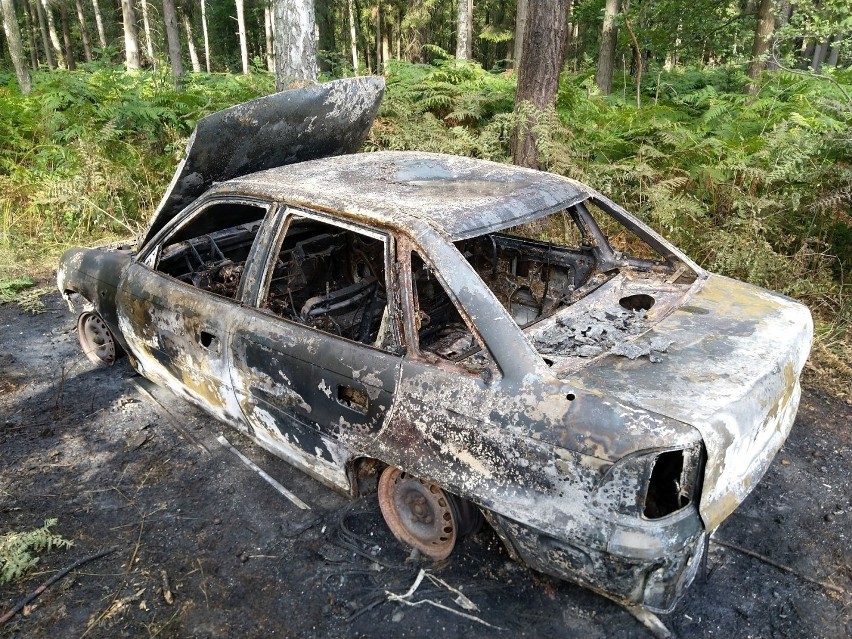 Plaga pożarów porzuconych samochodów. Spłonęły kolejne