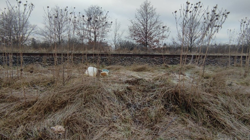 W Kaliszu przybywa dzikich wysypisk śmieci, choć w mieście działa darmowy PSZOK. ZDJĘCIA