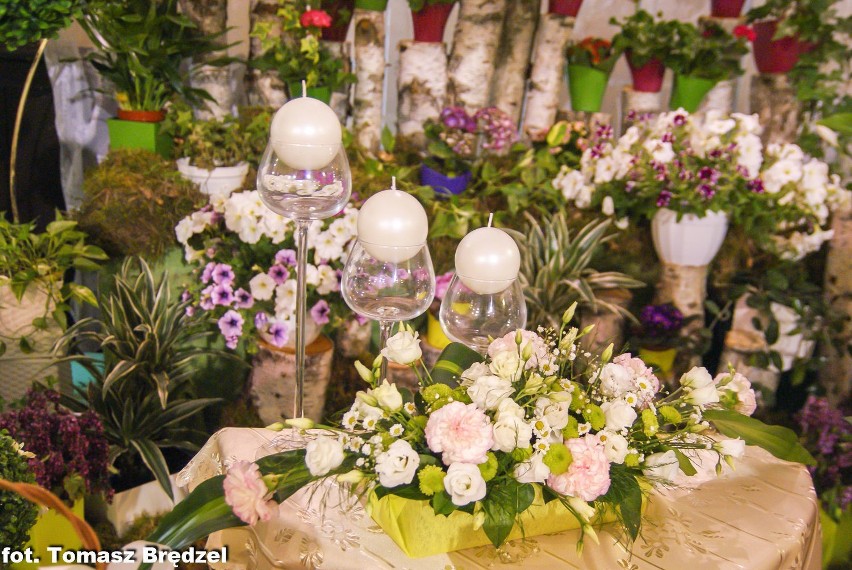 TARGI OGRODNICZE WIOSNA 2015 - Wystawa kwiatów, Częstochowa 2015