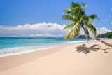 QUIZ na weekend: Czy przeżyłbyś na bezludnej wyspie? 