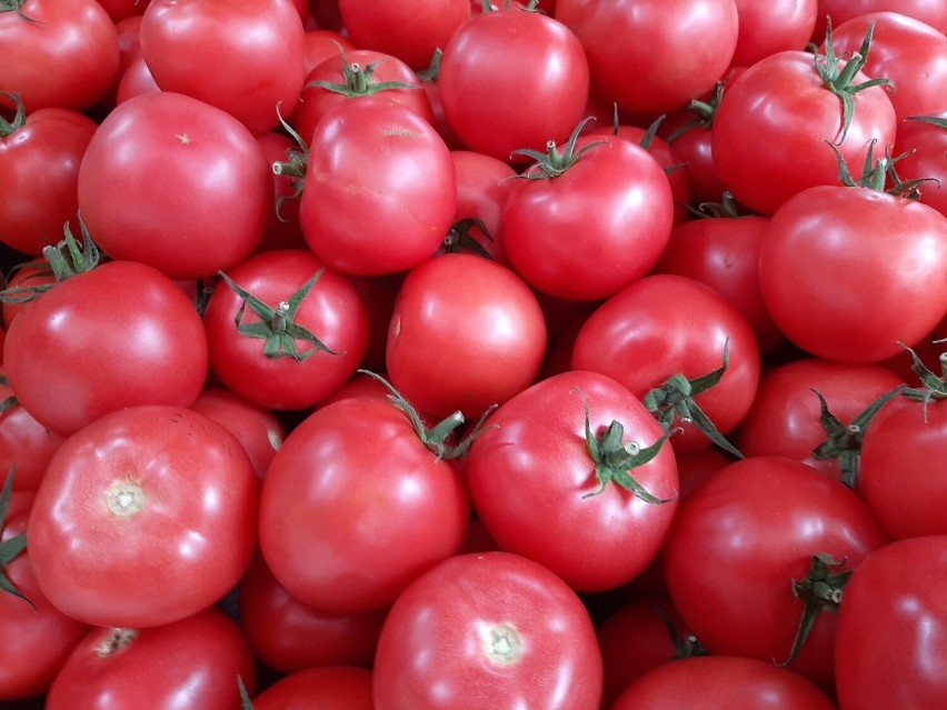 Pomidory – 2,50 zł/kg