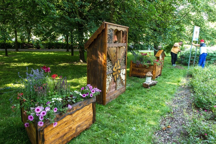 Hotele dla zapylaczy w Płocku. Miasto postawiło trzy "domy" dla pszczół i trzmieli w parku na Podolszycach Północ [ZDJĘCIA]