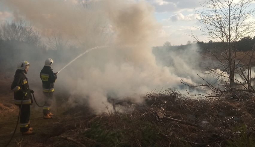 Sezon na pożary traw w powiecie poddębickim niestety rozpoczęty. Ogień gasili druhowie z OSP Pęczniew FOTO