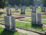Warszawa: jak dojechać na cmentarze? Przewodnik na Wszystkich Świętych