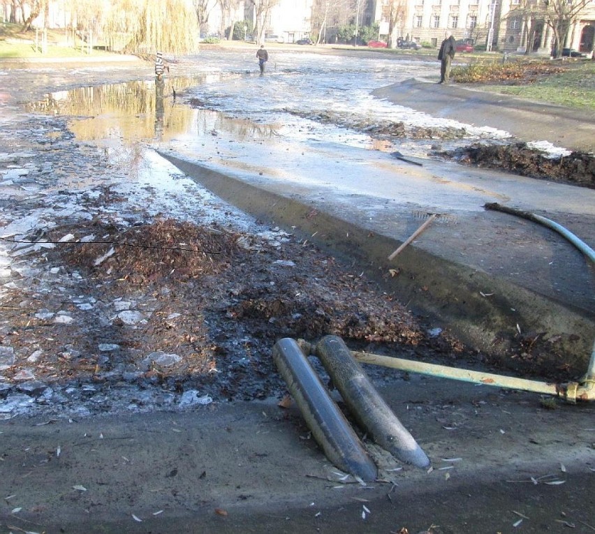 Park Marcinkowskiego: Trwa czyszczenie stawu