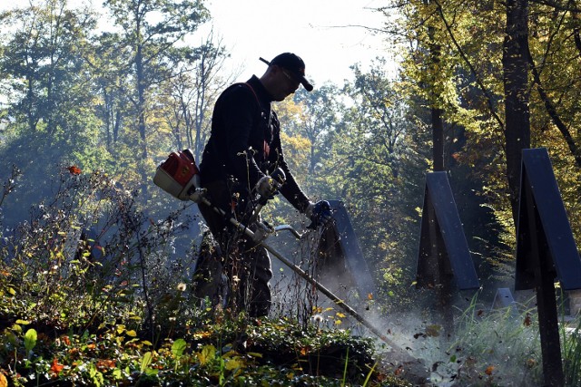 Kilkadziesiąt organizacji, jak również grupy wolontariuszy podjęły prace porządkowe na 50 cmentarzach w gminach: Gorlice, Łużna, Krempna, Sękowa i Uście Gorlickie