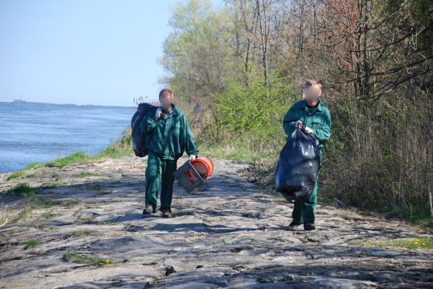 Więźniowie z Zakładu Karnego w Malborku sprzątali Park Krajobrazowy &quot;Mierzeja Wiślana&quot;