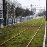 Tramwaj na Gagarina poczeka do czerwca. Budimex wciąż pracuje na Spacerowej. Kiedy będzie gotowa cała trasa na Wilanów?