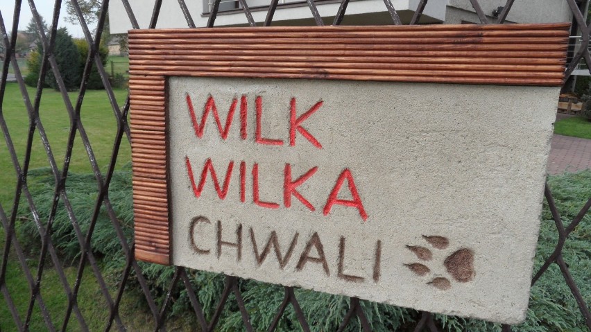 Wilkowyje