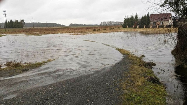 Śląskie. Pogoda szaleje - podtopienia i powalone drzewa w regionie częstochowskim