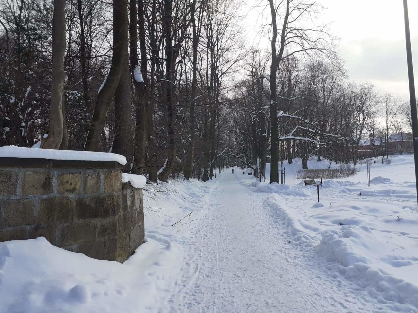 Wałbrzych: Park w Sobięcinie w zimowej szacie. Zobaczcie