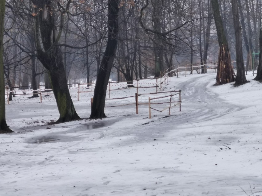 Chrzanów. Rozpoczął się drugi etap rewitalizacji parku w Kościelcu. Wyburzono schody, teren ogrodzono. Są utrudnienia dla pieszych [ZDJĘCIA]