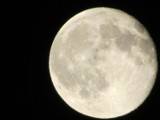 Koniunkcja Księżyca i Jowisza nad Polską - jak to zobaczyć?