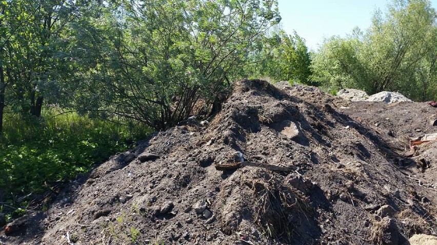 Nielegalne odpady zalegają na gdańskich Rudnikach
