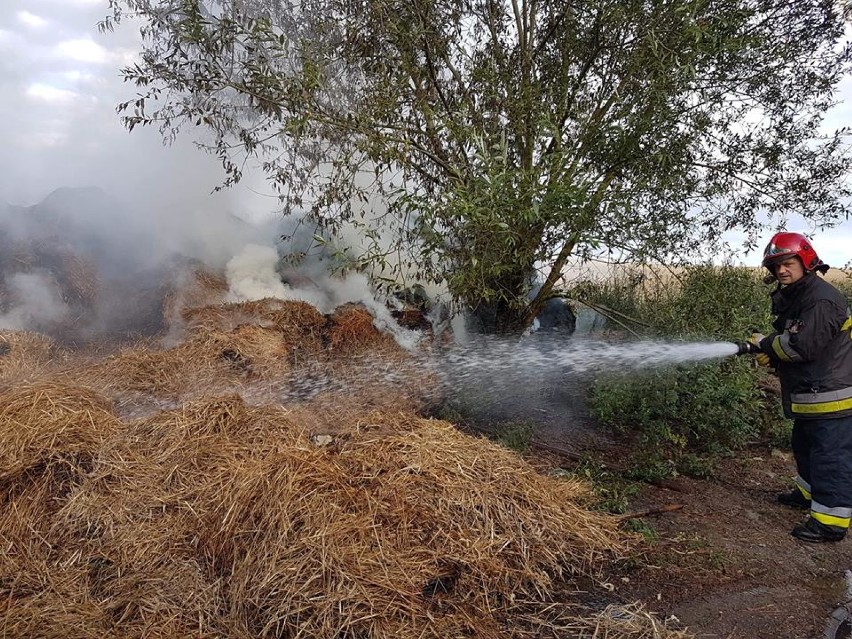 Wczoraj płonęła słoma, dziś płoną łąki. Pożary w Cyku w gmine Szydłowo i w Wolsku w gminie Miasteczko Krajeńskie