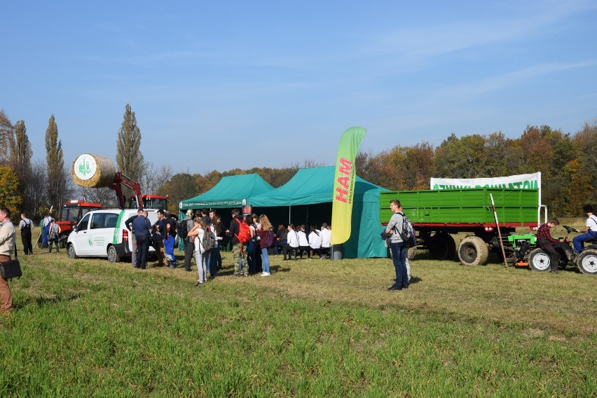 Tradycyjny Konkurs Orki w Nakle Śląskim