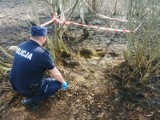 Policja w Kaliszu: Podczas pożaru strażacy znaleźli... niewybuchy z czasu II wojny światowej. ZDJĘCIA