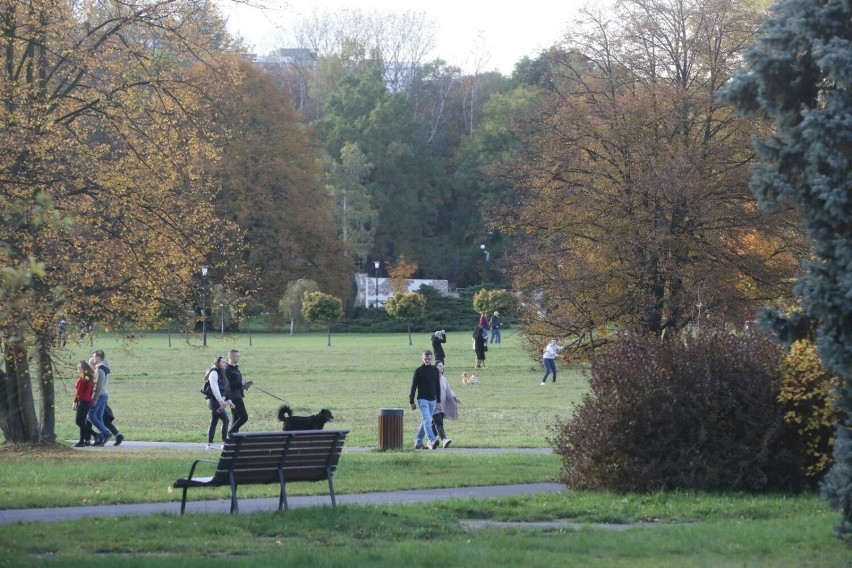 Park Śląski ogłosił przetarg na dostawę 476 mebli parkowych...
