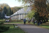 "Wandaloodporne" ławki, kosze, leżanki i stoły piknikowe w Parku Śląskim - właśnie ogłoszono przetarg