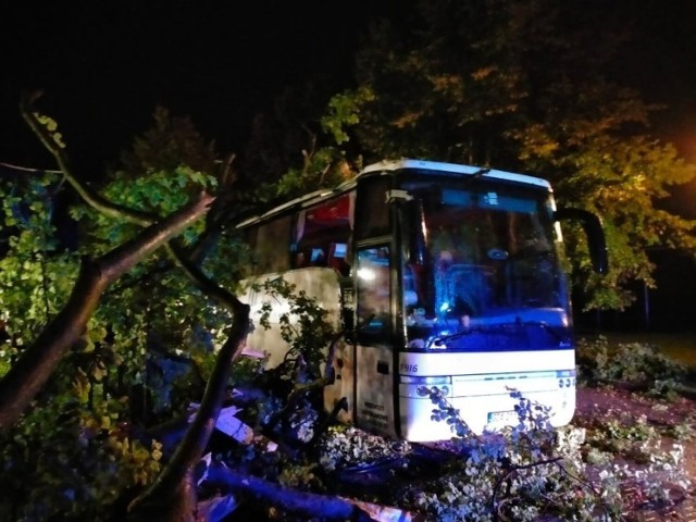 Silne wiatry znowu pokazały swoją siłę w powiecie puckim. Strażacy m.in. usuwali skutki przewrócenia się drzewa na autobus.