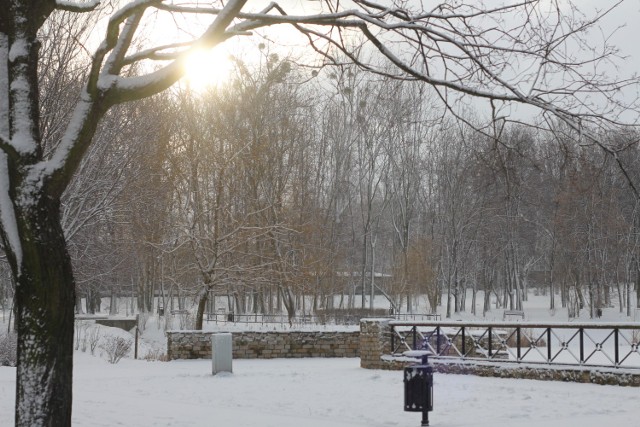 Park Miejski w Bytomiu (12.02.2019)