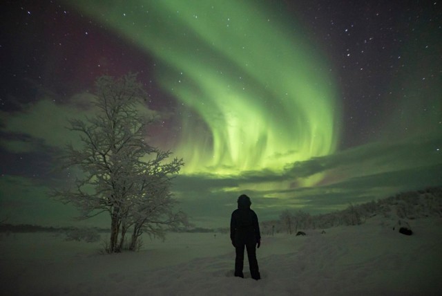 Piękne zorze polarne nad mroźną Finlandią. Te fotografie to efekt jeden z wypraw, których organizatorem jest Karol Wójcicki.