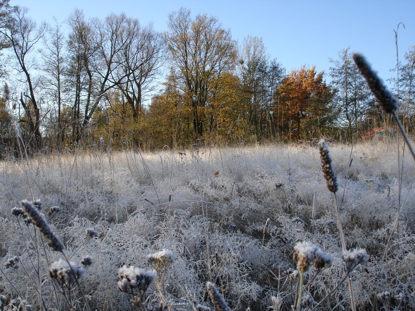 Krzczonowski Park Krajobrazowy to tylko jedna z propozycji