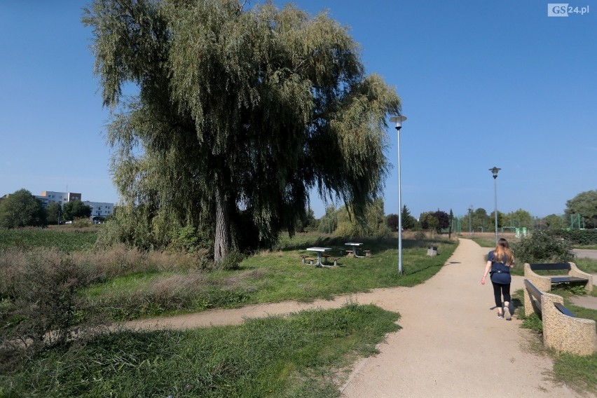 Pierwsza z łąk pojawi się na zieleńcu Jeziorko Słoneczne.