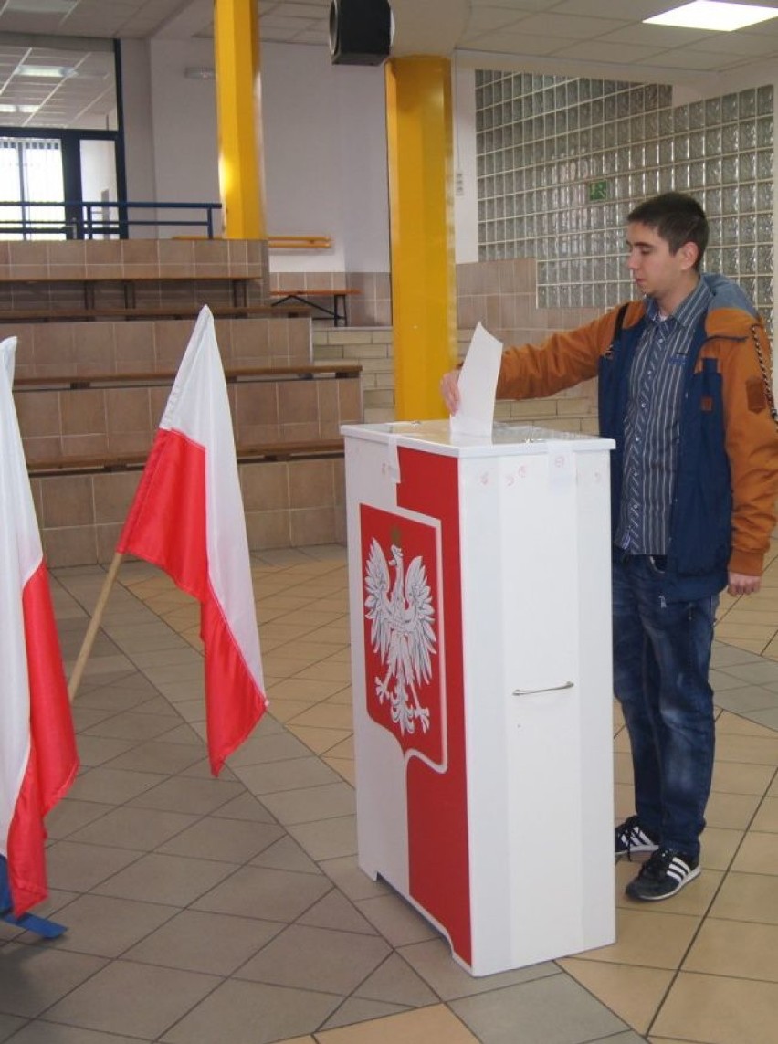 Wybory samorządowe w gminie Wieluń [OKRĘGI I OBWODY WYBORCZE]