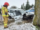 Wypadek pod Damasławkiem. Auto osobowe uderzyło w drzewo. Dwie osoby trafiły do szpitala 