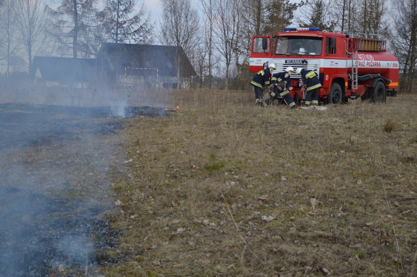 Pożar trawy w Rekowie udało się szybko opanować. Strażacy apelują: Nie wypalaj trawy!