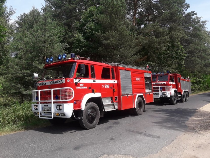 Pożary w Dankowicach Piaskach. Strażacy z gminy Krzepice walczyli z ogniem