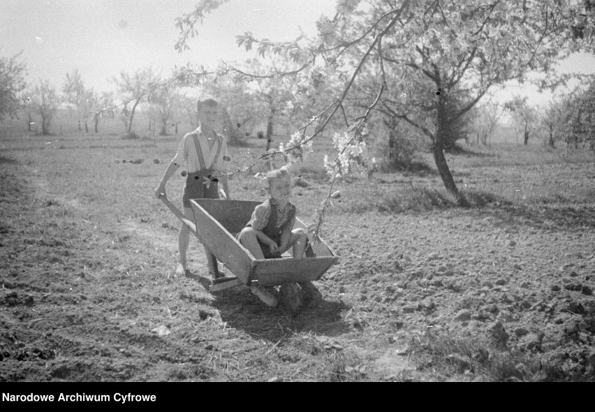 Rodzina Magierskich ze znajomymi w sadzie w Choinach 1946 r.