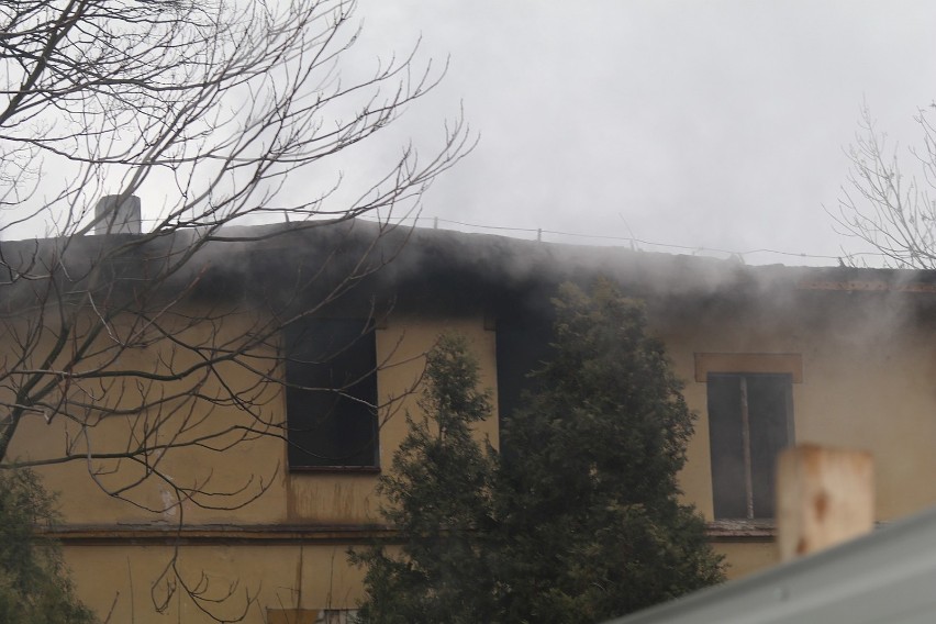 Pożar budynku przy ulicy Kartuskiej w Legnicy [ZDJĘCIA]