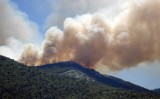 Zielone płuca Ziemi stoją w ogniu. Zobacz największe pożary lasów w historii [ZDJĘCIA]