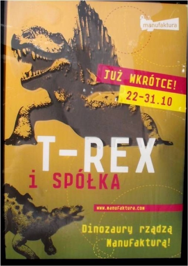 Wystawa &quot;T-Rex i sp&oacute;łka&quot; w ł&oacute;dzkiej Manufakturze.
fot. Mariusz Reczulski