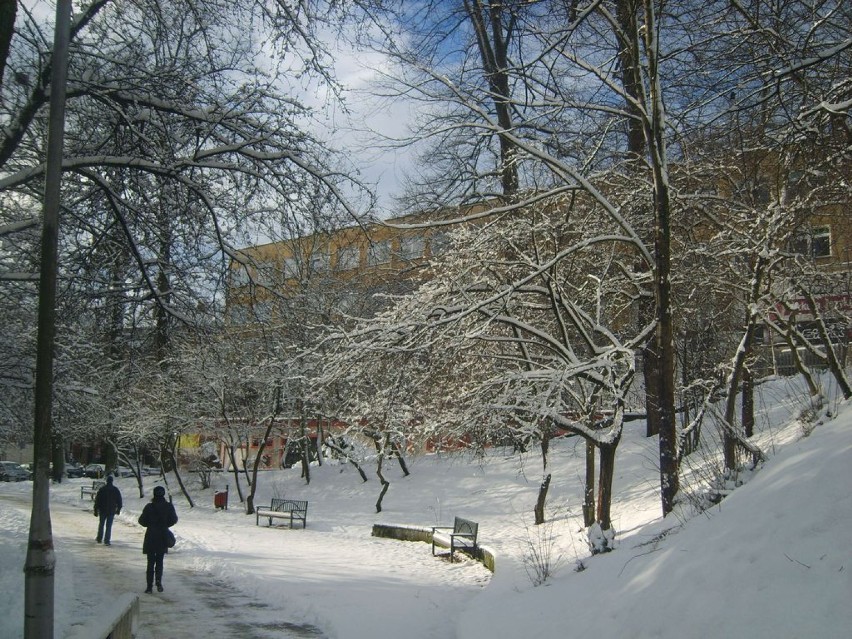 Zima w parku