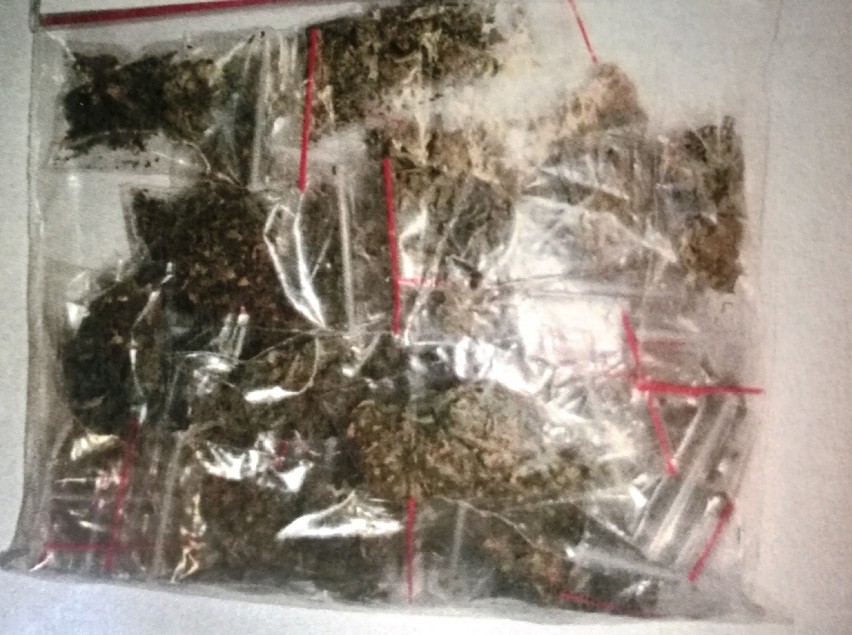 Mieszkaniec powiatu włocławskiego miał prawie 300 gramów marihuany [zdjęcia]