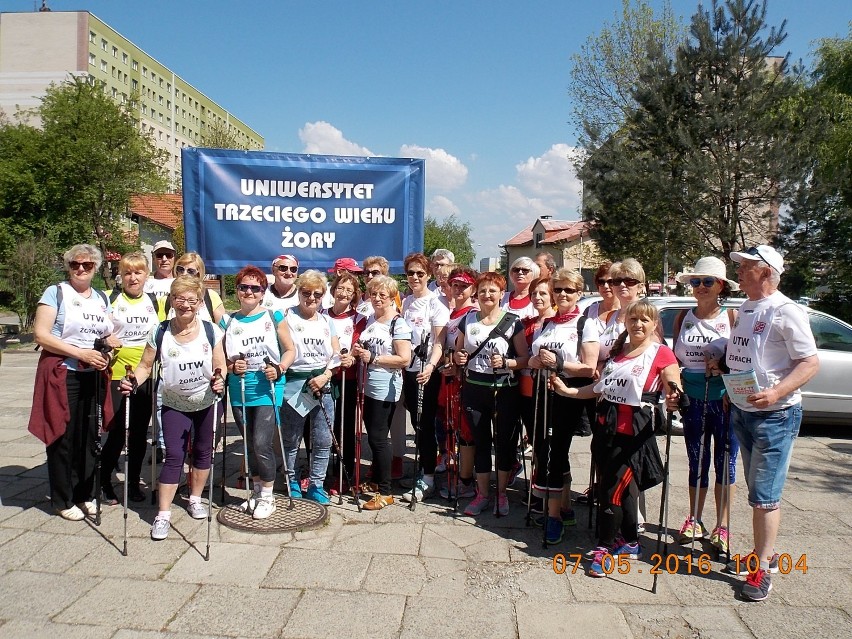 Żorscy Seniorzy znów pomaszerowali. Za nami IV Marsz Nordic...