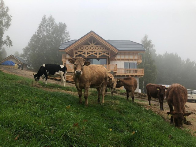 Moonwood House w Świeradowie-Zdroju.