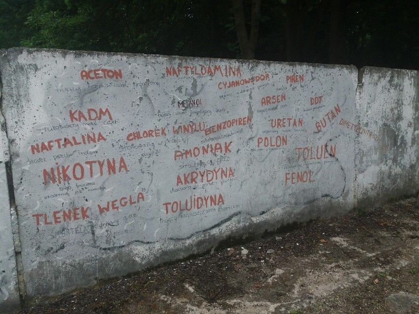 Nietypowy mural ,,zdobi'' ogrodzenie jednej z międzyrzeckich...