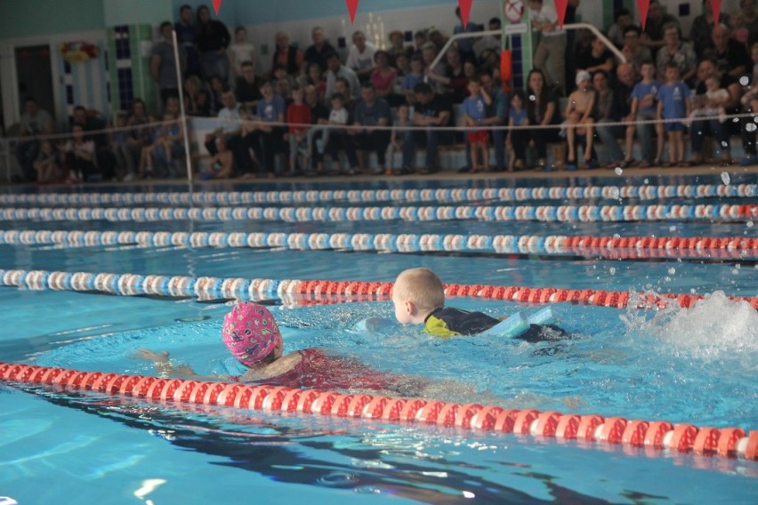 Mistrzostwa  Przedszkolaków  w Pływaniu - Złotów 2019