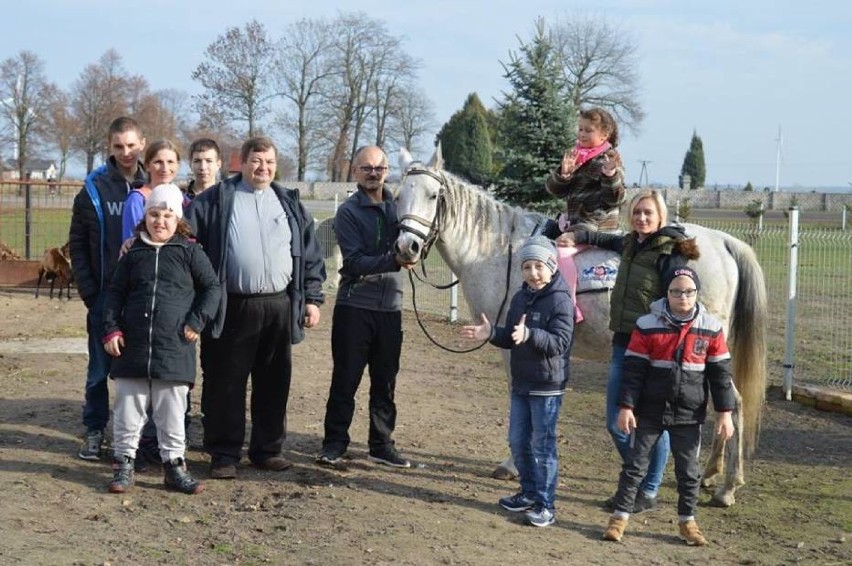 W zagrodzie ks. Marka Jelonka, proboszcza parafii w Czarnożyłach. Te zwierzęta pomagają chorym dzieciom