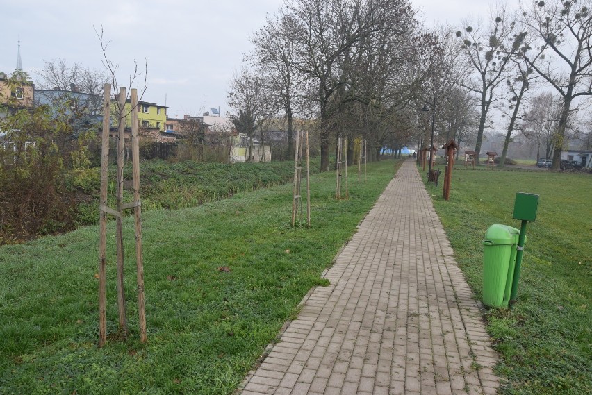 Czempiń zaprasza na jesienny spacer ścieżką przy "Olszynce"