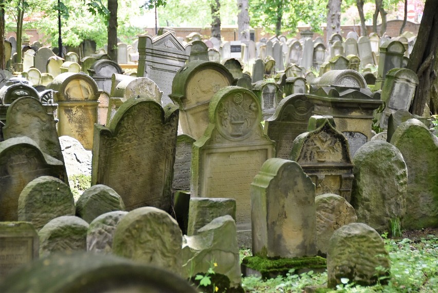 Cmentarz Żydowski w Tarnowie - jeden z najstarszych i...