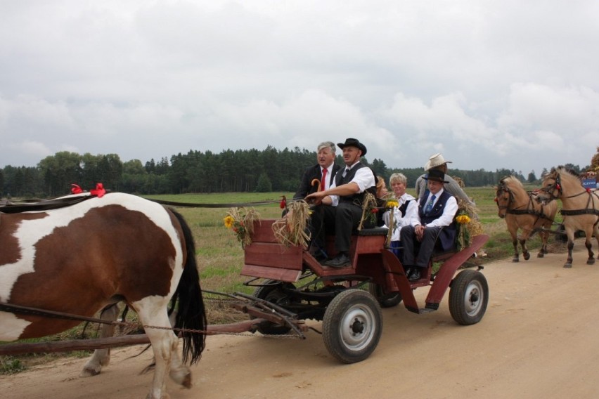 Dożynki 2014, gmina Krokowa, Łętowice