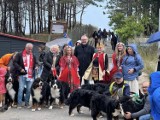 Darłowo. Psie piękności przyjechały z całej Polski ZDJĘCIA