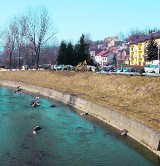 Płyty z gorlickiego Rynku na ścieżkę spacerową?