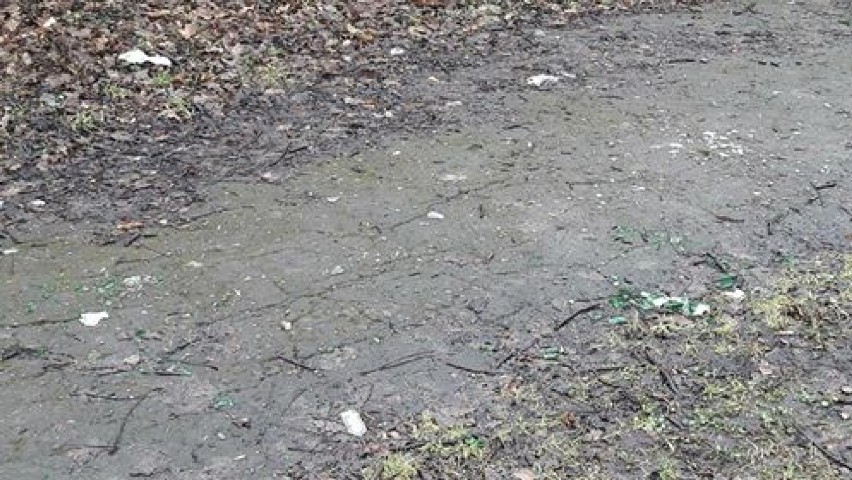 Mieszkańcy Malborka skarżą się na brud i rozbite butelki w Parku Miejskim [LIST OD CZYTELNIKA]