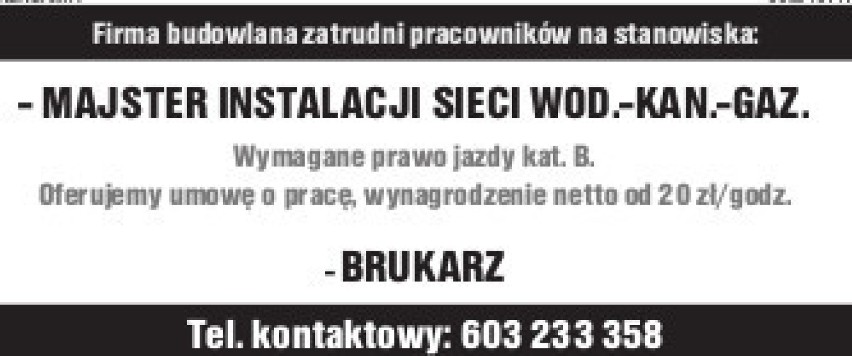 Praca w rejonie Sycowa. Poszukiwany m.in. kierowca, stolarz, tapicer i główny księgowy